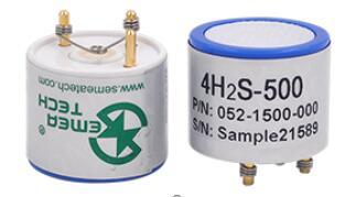 H2S Gas Sensor