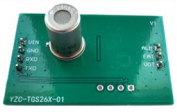 Hydrogen detection module